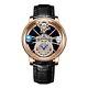 2023 Pindu Design Luxury Men's Quartz Watch Diamond Tourbillon 3bar Astronomi