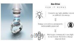 Montre en acier inoxydable Citizen pour femmes avec éco-drive en or rose EM0926-55Y NEUVE